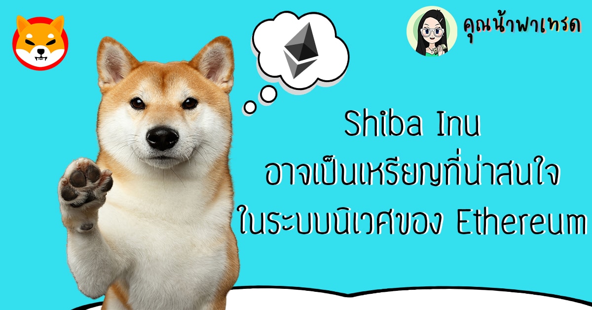 Shiba Inu อาจเป็นเหรียญที่น่าสนใจ ในระบบนิเวศของ Ethereum