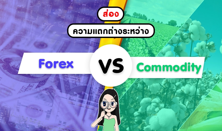 ส่องความแตกต่างของ Forex กับสินค้าโภคภัณฑ์