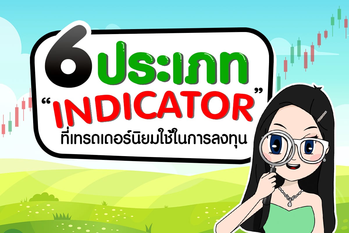 indicator มีกี่ประเภท