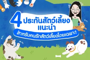ประกันสัตว์เลี้ยง เจ้าไหนดี คุ้มครองอะไรบ้าง