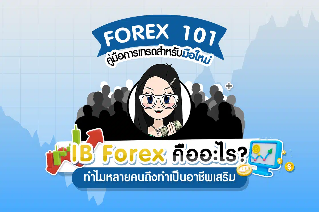 IB Forex คืออะไร ? ทำไมหลายคนถึงทำเป็นอาชีพเสริม