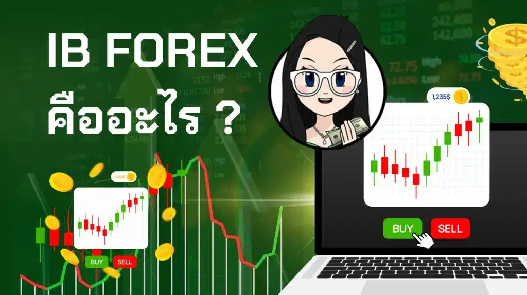 IB Forex ผู้แนะนำโบรกเกอร์คืออะไร