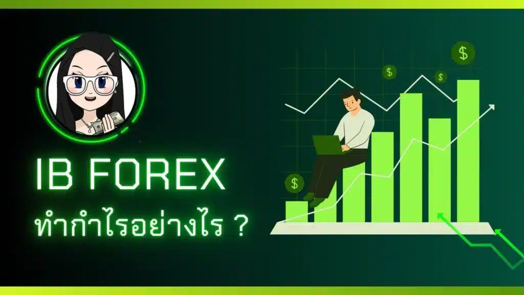 โครงสร้างรายได้ IB Forex สเปรดและค่าคอมมิชชัน