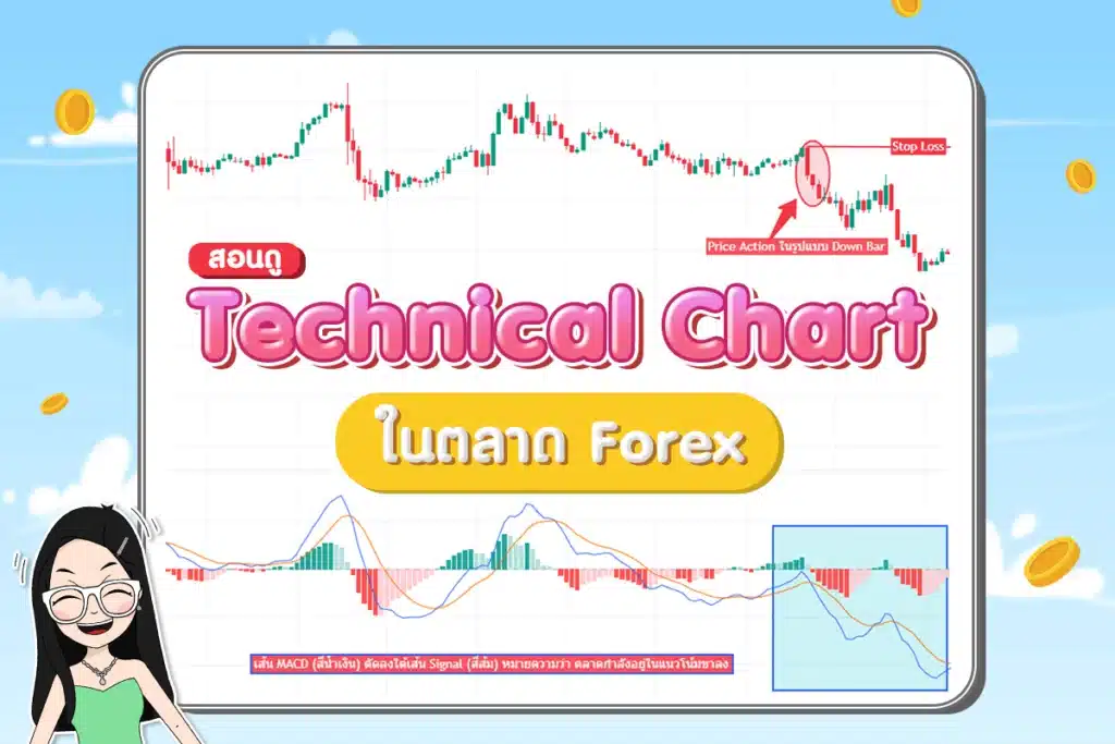 Technical Chart Forex สอนดู Technical Chart ในตลาด Forex