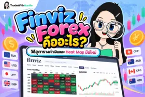 Finviz Forex เครื่องมือวิเคราะห์ตารางค่าเงินเรียลไทม์สำหรับมือใหม่